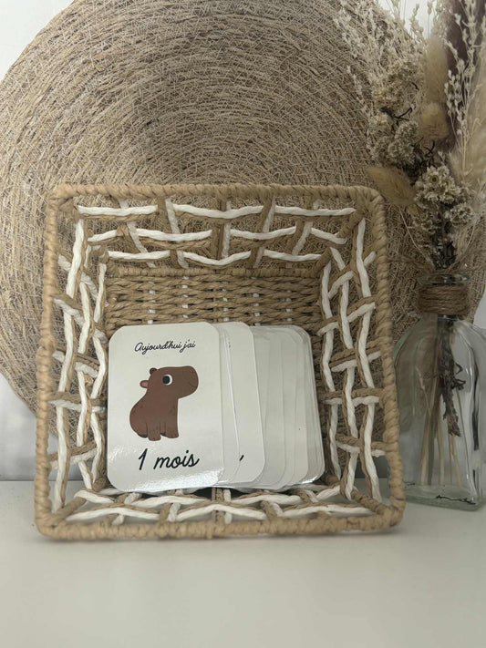 Cartes étapes bébé